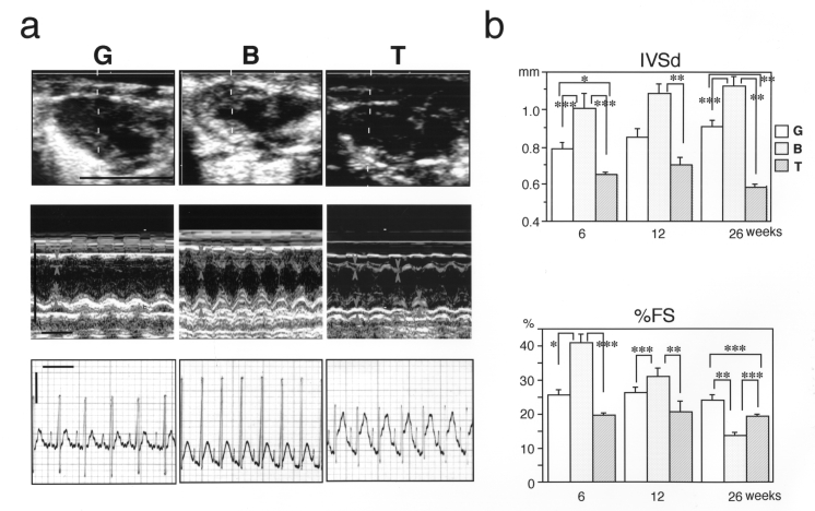 Figure 3)