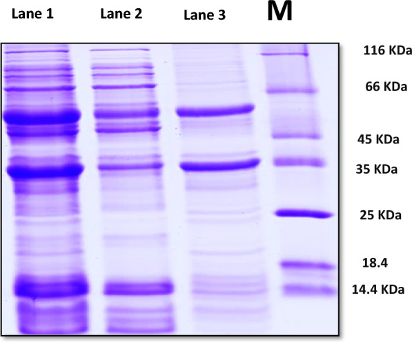 Fig. 18