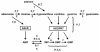 Fig. (3)