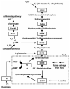 Fig. (2)