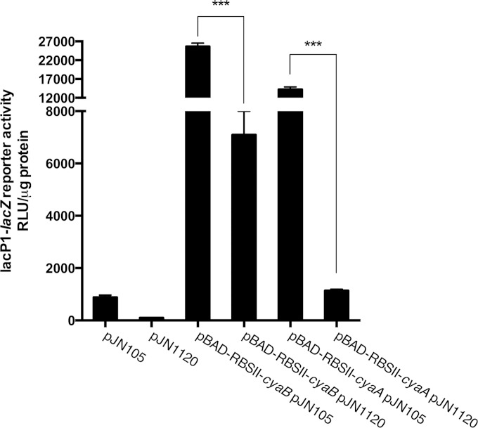 FIG 9