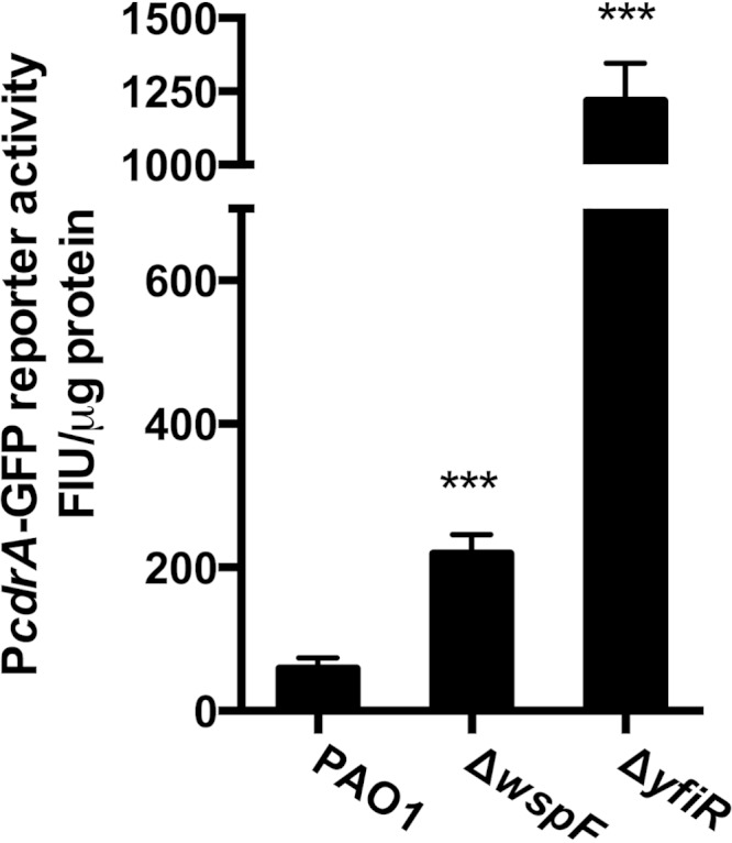 FIG 1