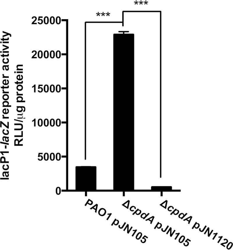 FIG 11