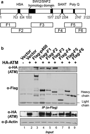 Fig. 3