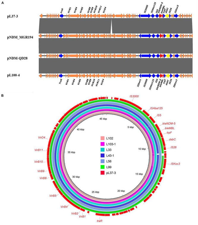 FIGURE 1