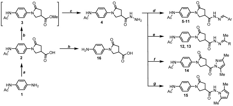 Scheme 1