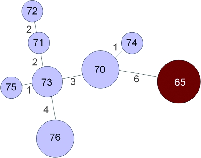 FIG. 4.