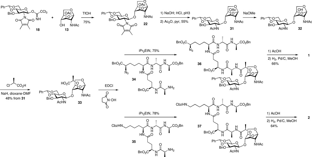 Scheme 4