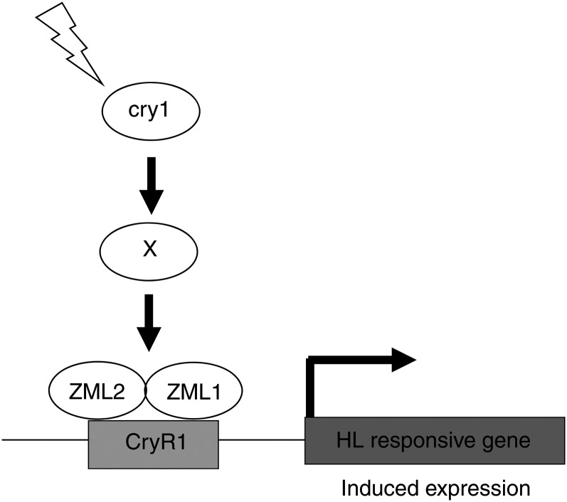 Figure 10.