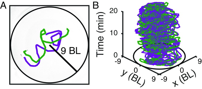 Fig. 1.