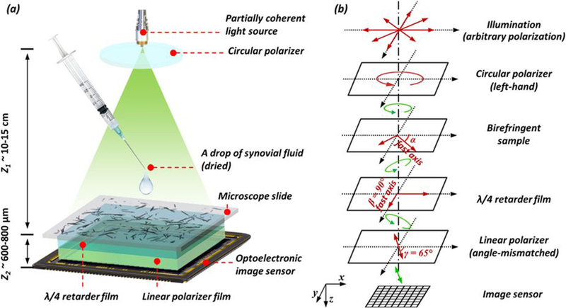 Figure 2: