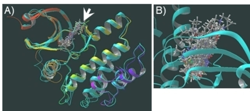 Figure 4.