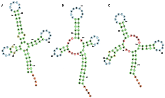 Figure 1.