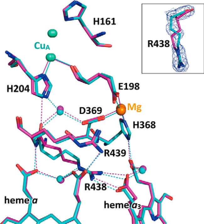 FIGURE 7.