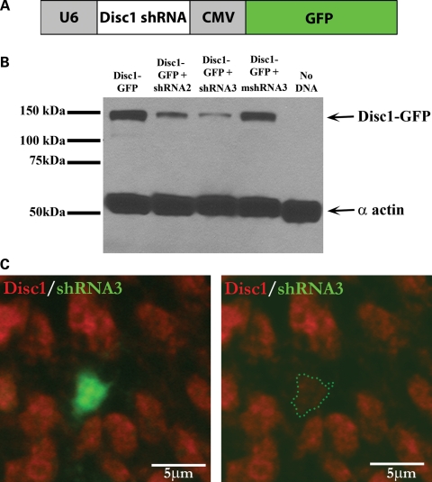 Figure 3.