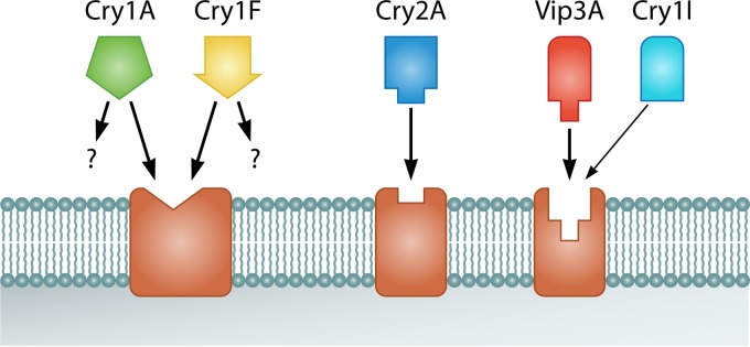 FIG 11