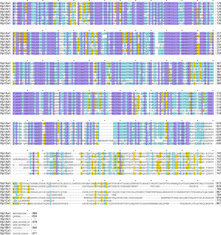 FIG 3