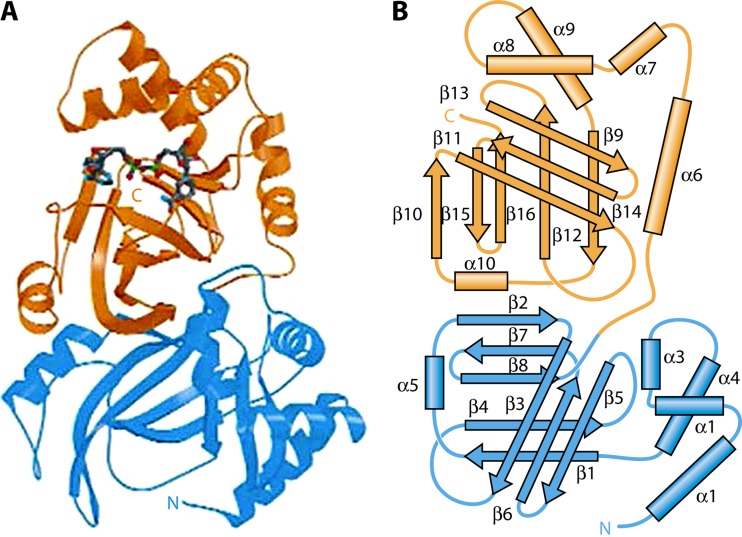 FIG 5