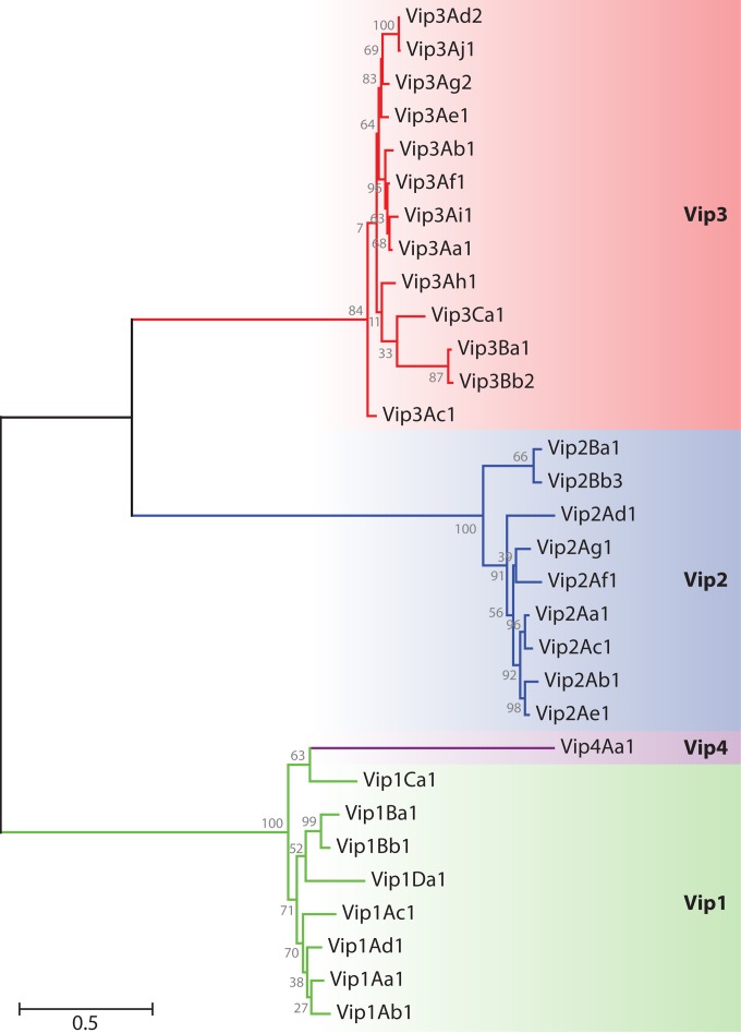 FIG 2