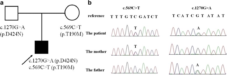 Fig. 1