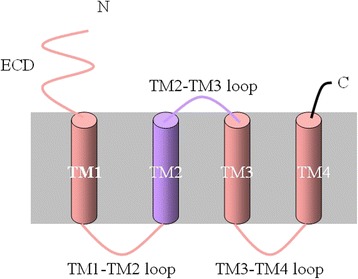 Fig. 2