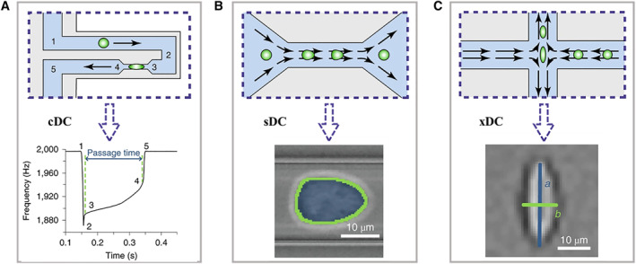 FIGURE 2