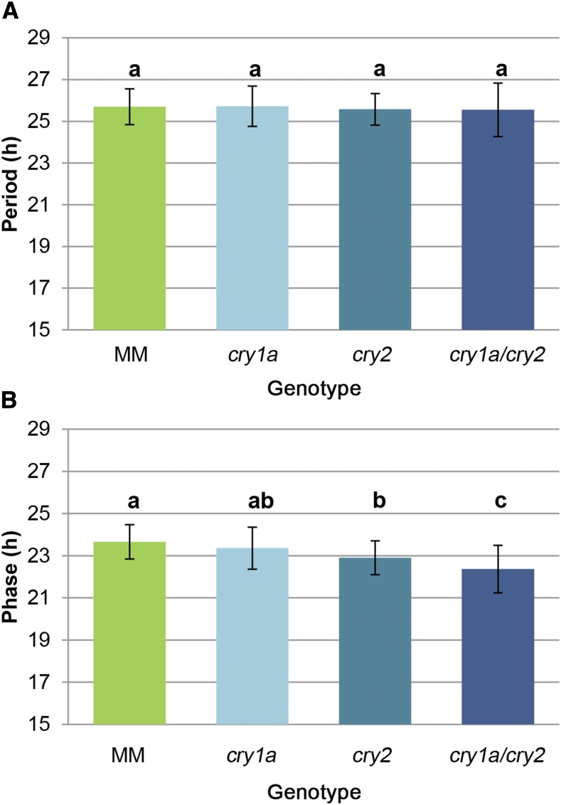 Figure 7.