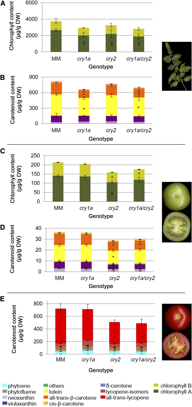 Figure 5.