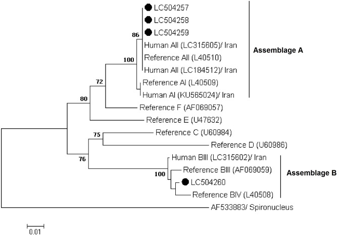 Fig 1