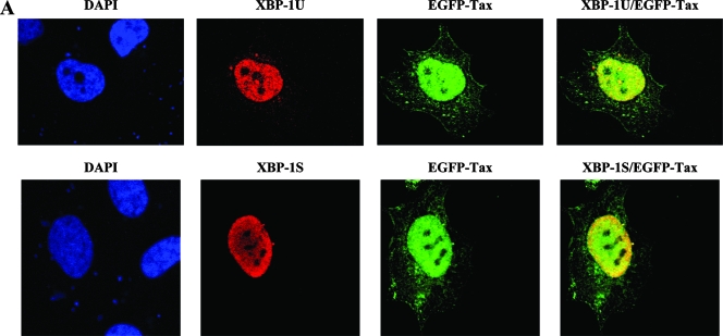 FIG. 7.