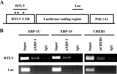 FIG. 5.