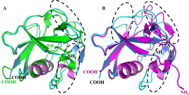 FIG 3