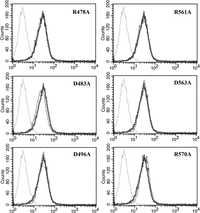 FIG 6