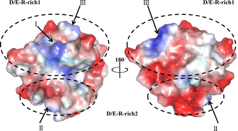 FIG 2