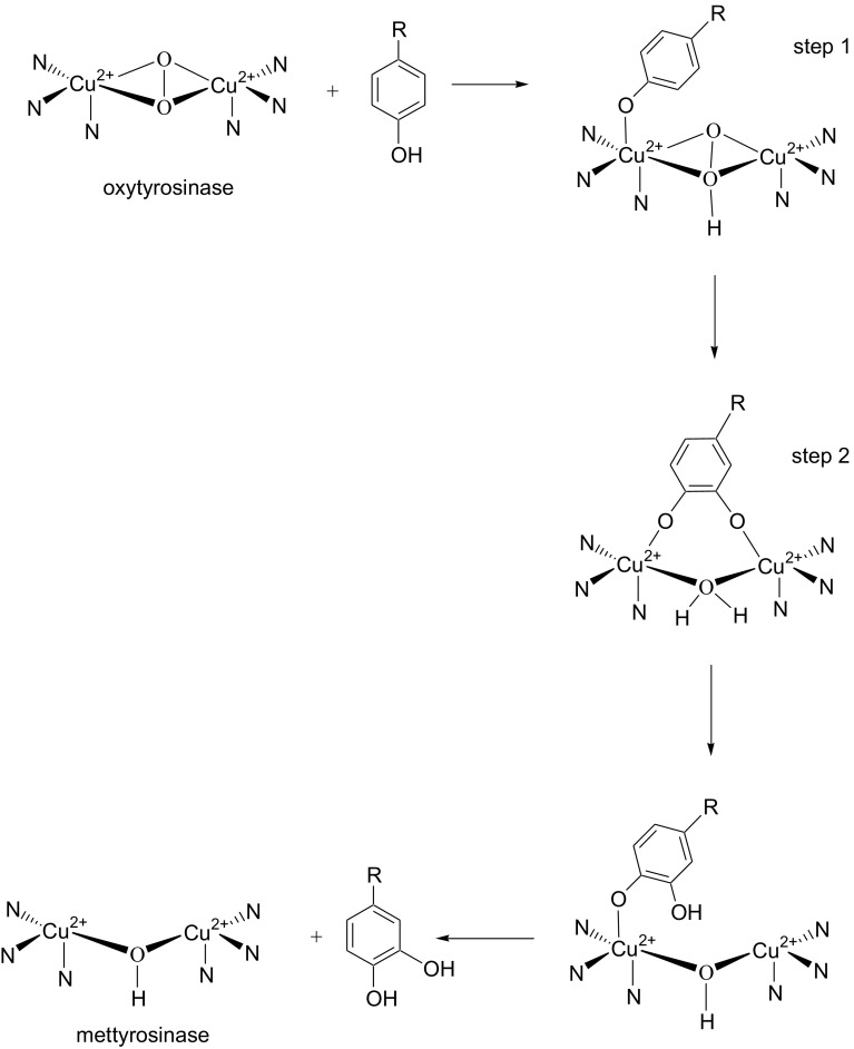 Fig. 3