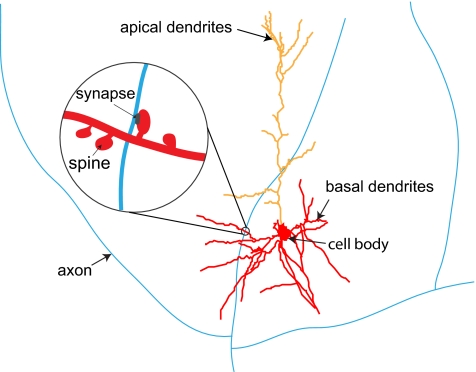 Fig. 1.