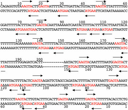 Figure 4.—