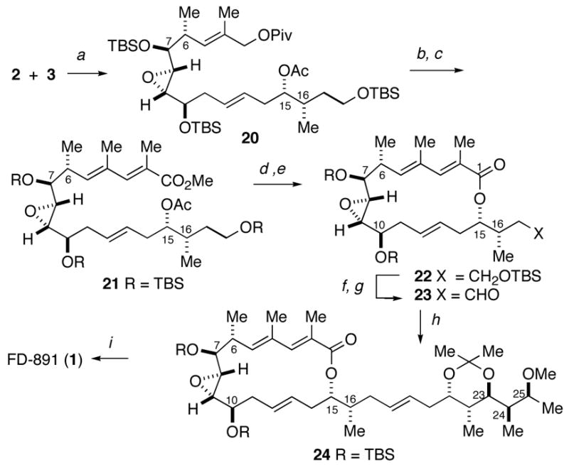 Scheme 5