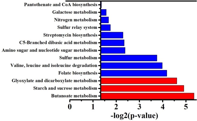 Figure 5