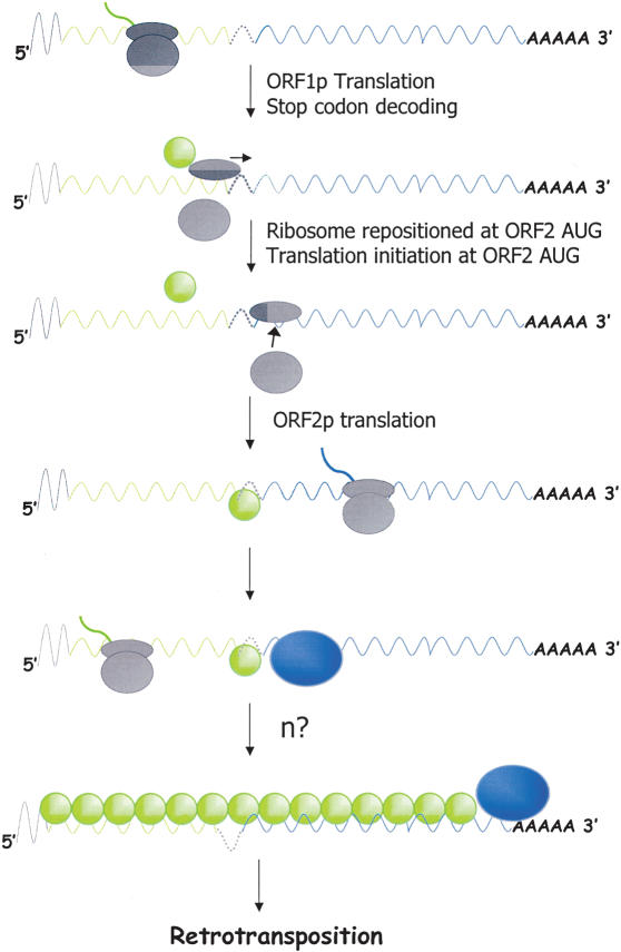 Figure 9.