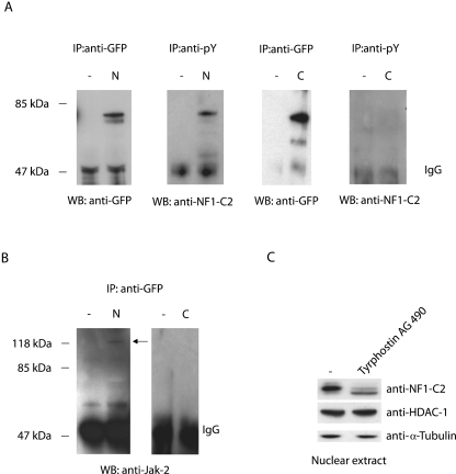 FIG. 5.