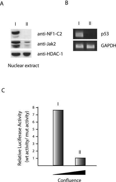 FIG. 7.