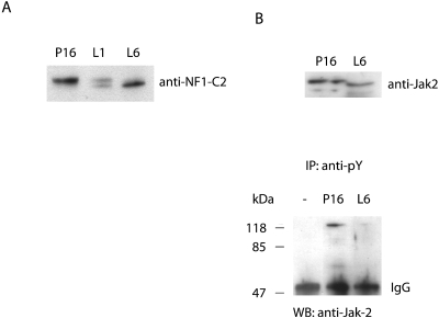 FIG. 8.