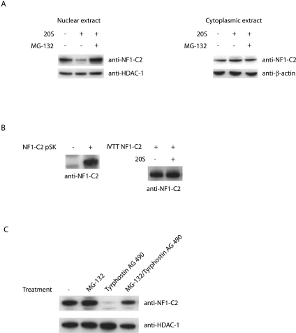 FIG. 6.