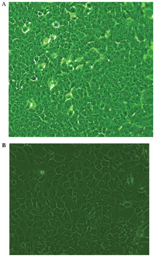 FIGURE 3