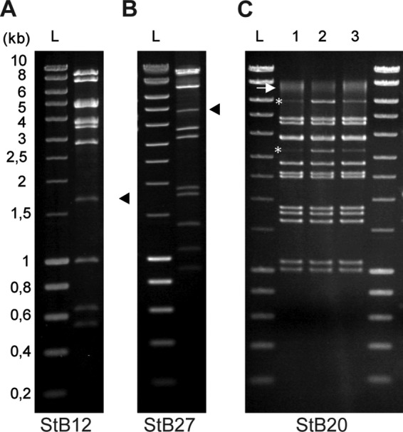 Fig 4