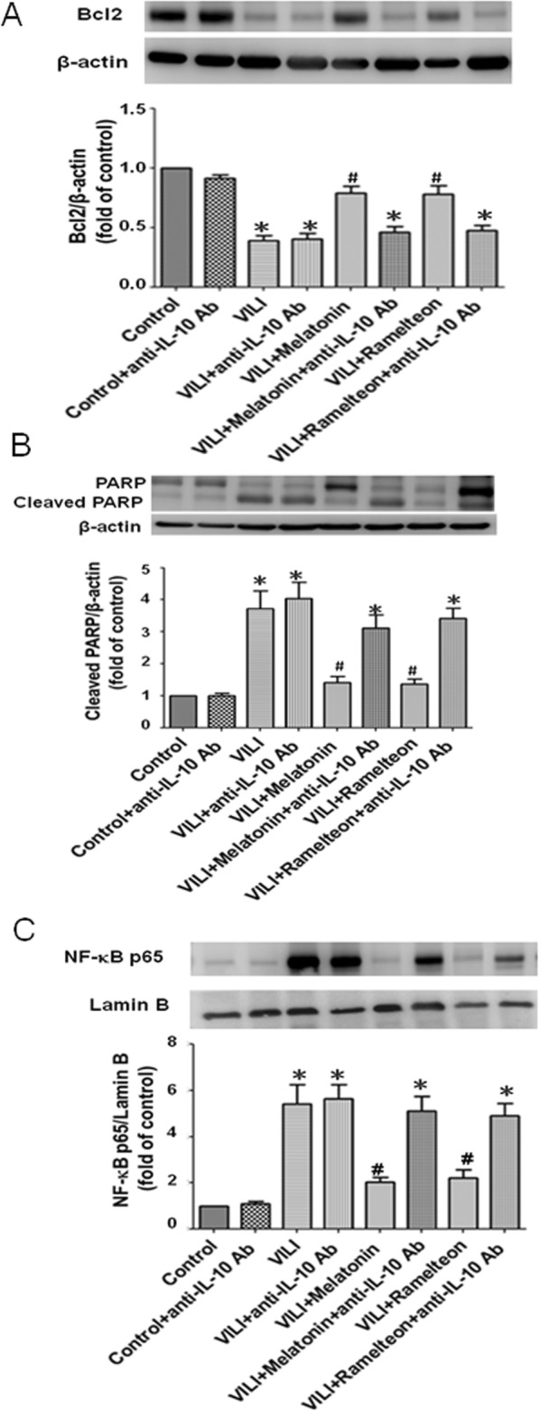 Fig. 13