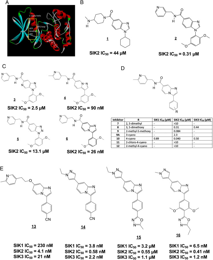 Fig. 2.