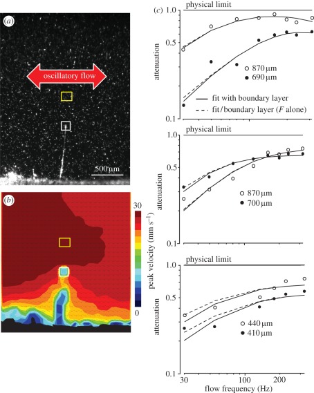 Figure 3.