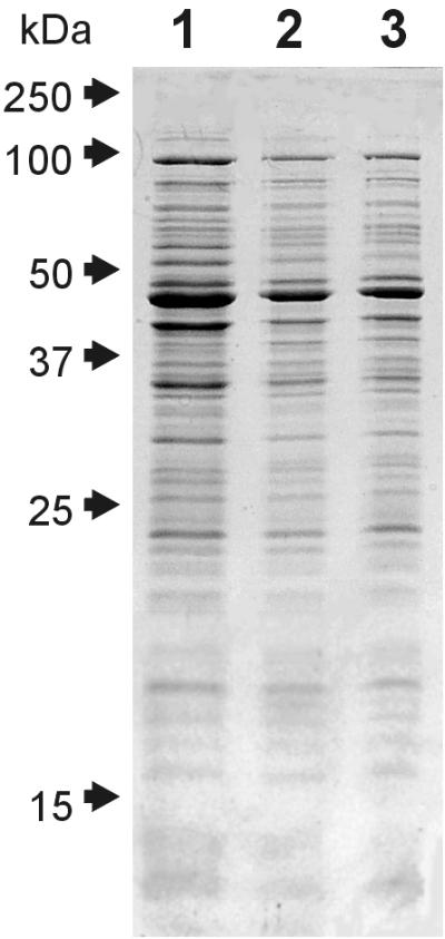 FIG. 6